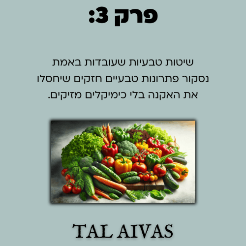 ⁦המדריך המהיר  לעור נקי וזוהר:איך להעלים אקנה וצלקות בקלות ובמהירות⁩ – תמונה ⁦5⁩