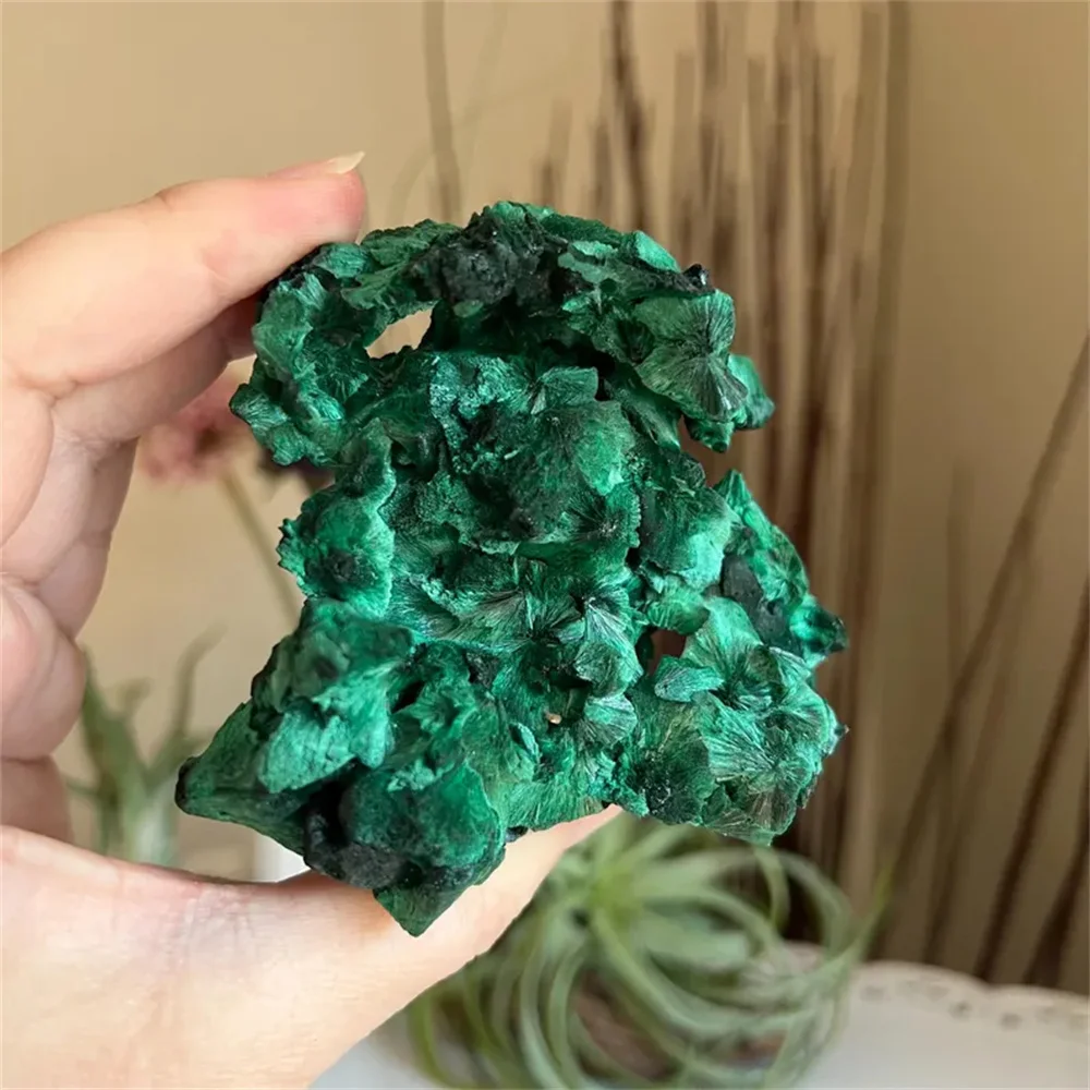 מלכיט – האבן שמפרקת דפוסים ובונה אתכם מחדש – תמונה 2